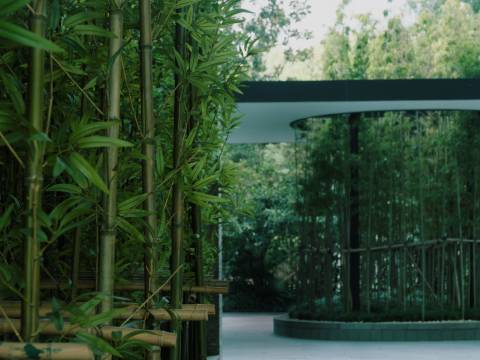 上海璞丽图片