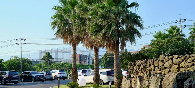 济州城新新酒店(Shin Shin Hotel Jeju City)图片