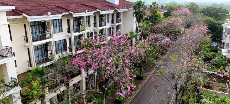广州东方夏湾拿酒店图片