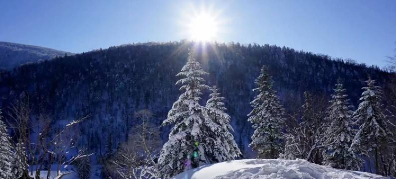 雪谷有涧山野客栈图片
