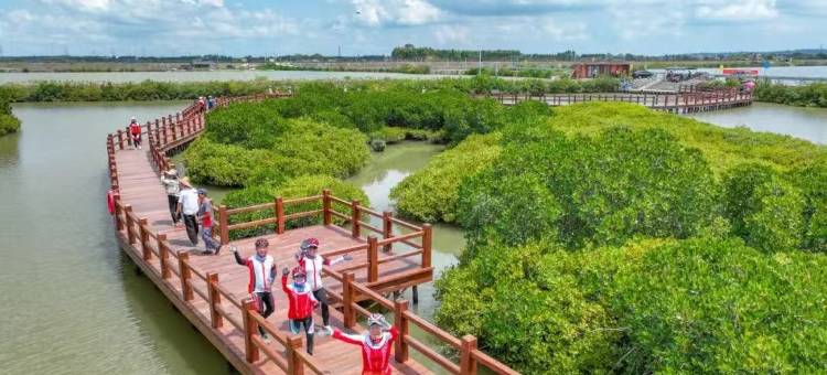 海洋国际酒店(湛江金沙湾风景区店)图片