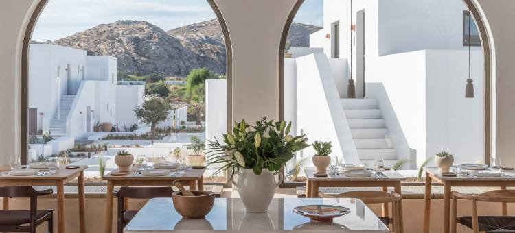 帕里利欧酒店 - 设计酒店会员(Parilio, a Member of Design Hotels, Paros)图片