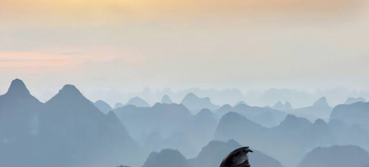 阳朔璞院·VILLA花园星空泳池全景度假酒店图片