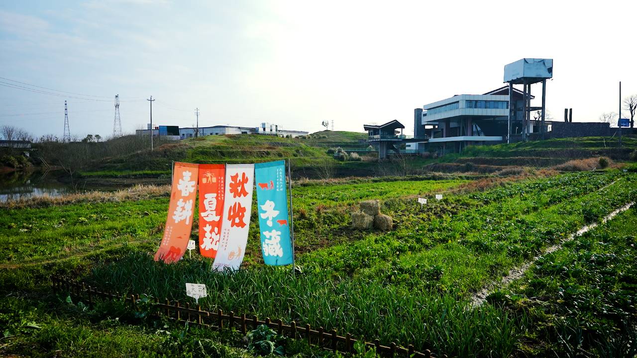 衢州中环雷迪森庄园图片