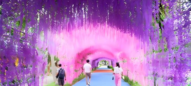 赛楠酒店(广州高铁北站花都融创文旅城店)图片