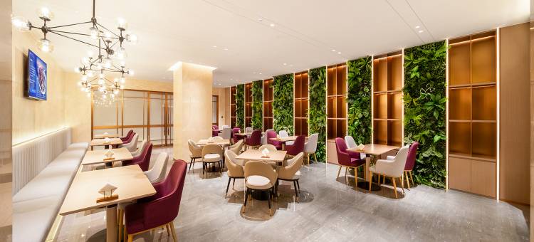 麗枫酒店(临汾洪洞大槐树景区店)图片