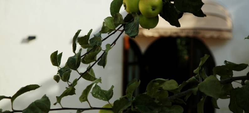 特克斯城间小住民宿图片
