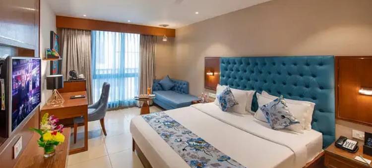 艾哈迈达巴德SK 贵族生态酒店(SK Lords Inn Ahmedabad)图片