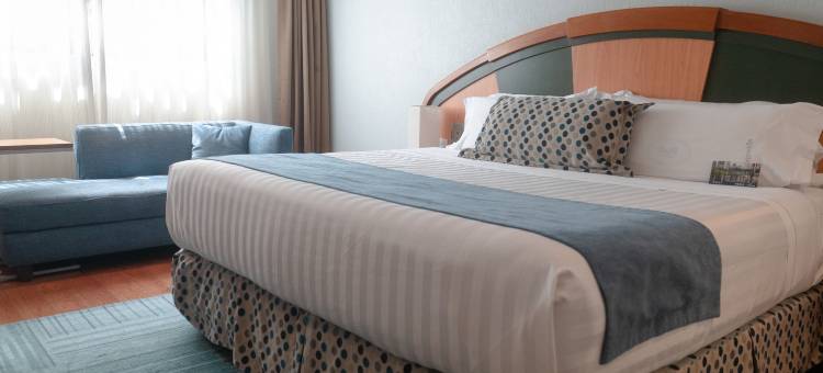 墨西哥城卡里埃斯坎顿酒店(Kali Escandón Mexico City)图片