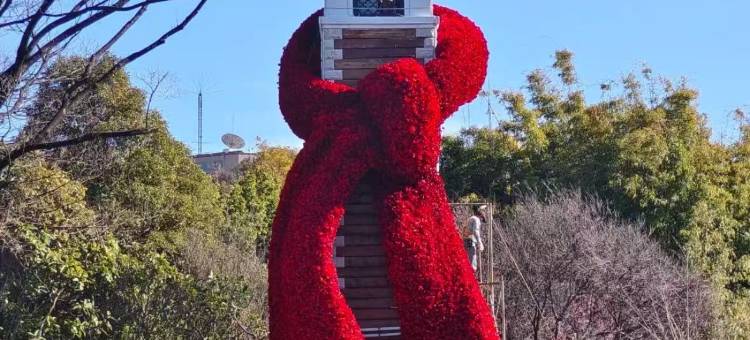 星程酒店(昆明火车站国贸中心店)图片