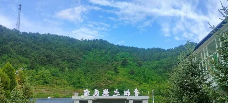 青松之旅民宿图片