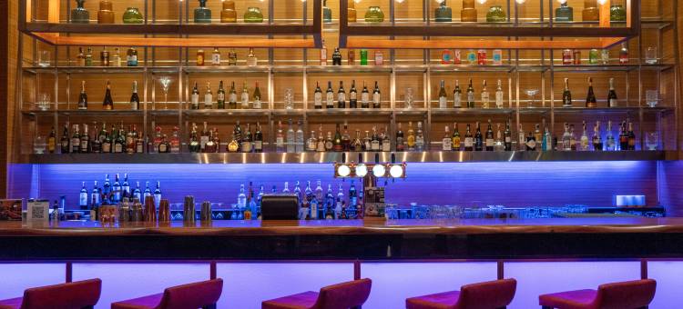 曼谷是隆假日酒店 - IHG 旗下酒店(Holiday Inn Bangkok Silom)图片