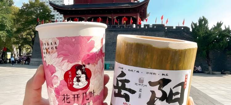 宜致酒店(岳阳楼步行街店)图片