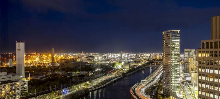东京湾ANA假日酒店(ANA Holiday Inn Tokyo Bay)图片