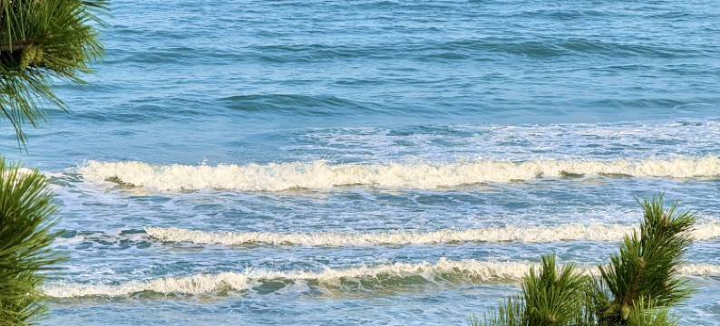 邂逅美宿·Sea Villa花园艺术主题民宿(崂山景区流清河沙滩店)图片