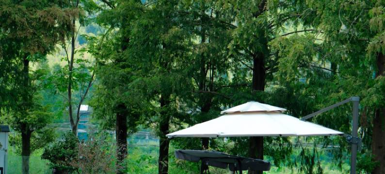 莫干山氧森·YANGSEN夏日滑梯泳池度假民宿图片