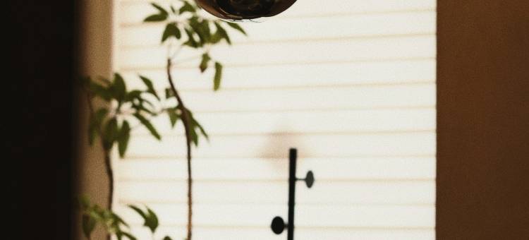 湄洲岛湄屿宿集·佑见民宿(妈祖祖庙店)图片