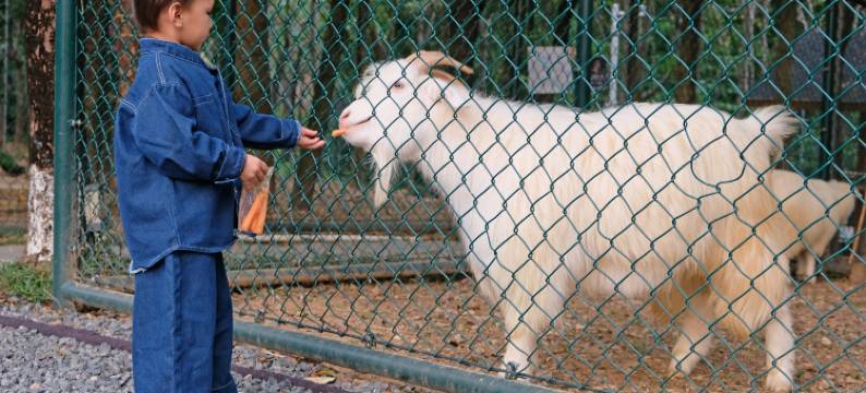 南宁五象山庄图片