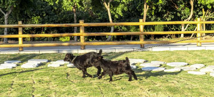 惠东金海湾嘉华度假酒店图片