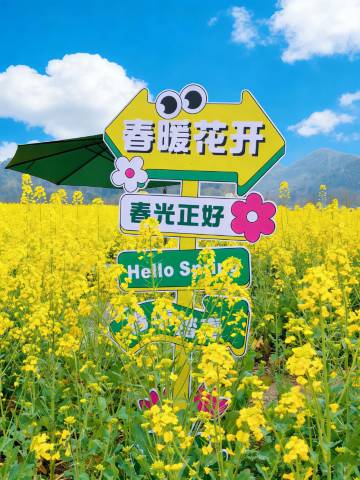 宜昌威斯汀酒店图片