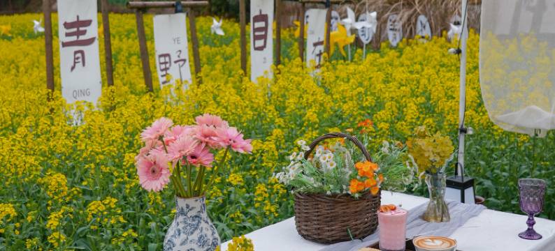 婺源·云上青野·Villa设计师美宿图片