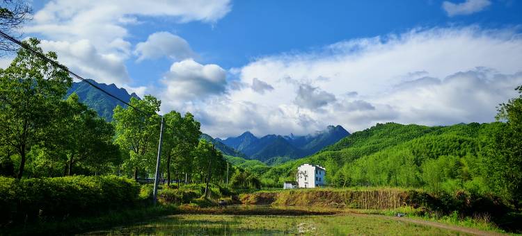 松箖里.不远黄山图片