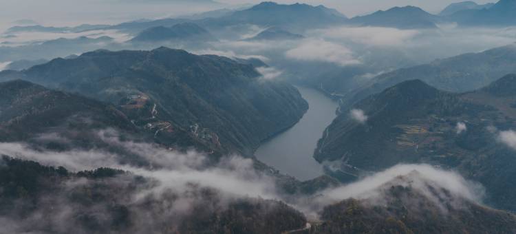 隐居乡里左手香民宿图片