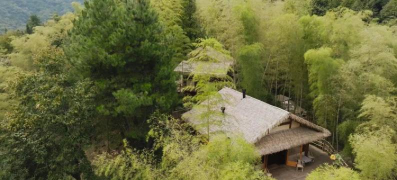 查济竹里晓山·幽篁草堂民宿图片
