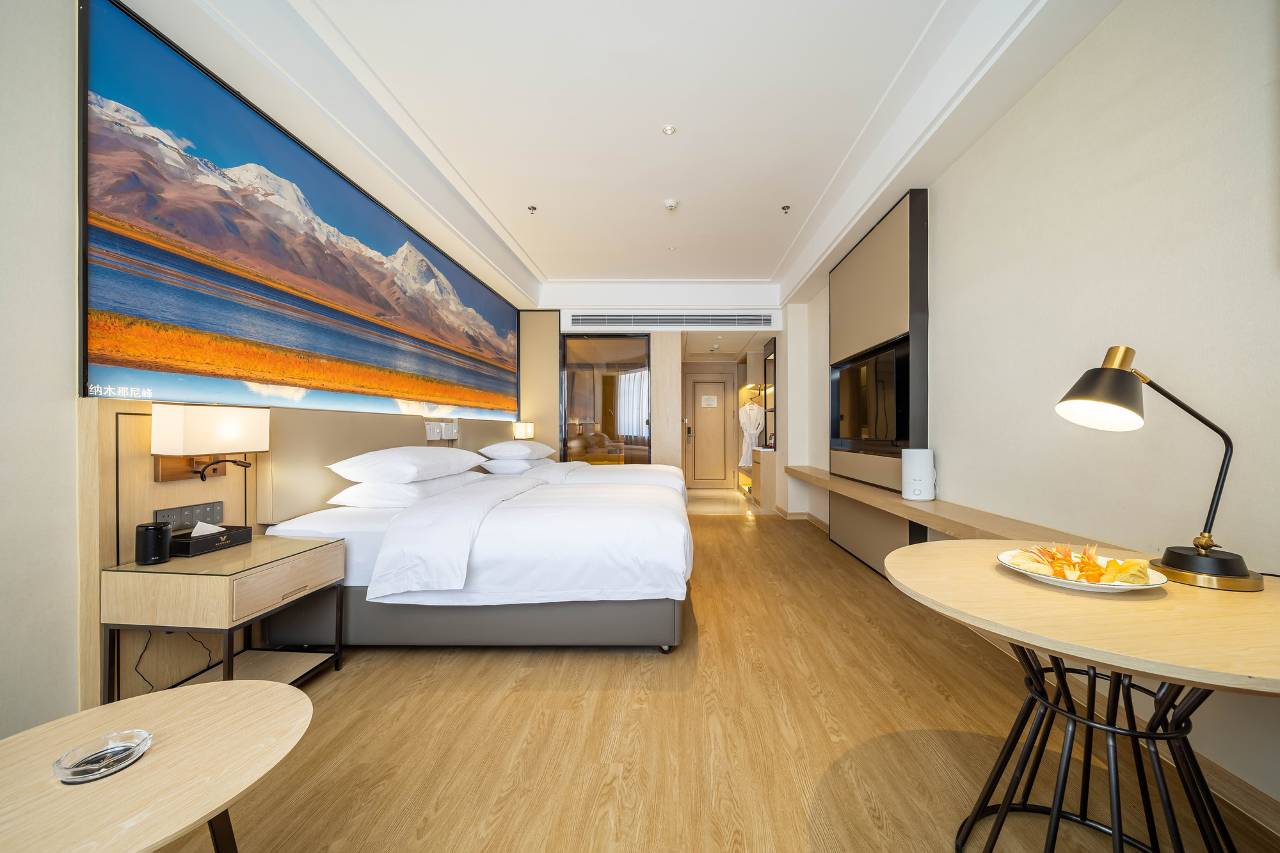 维也纳国际酒店(阿里神山店)图片