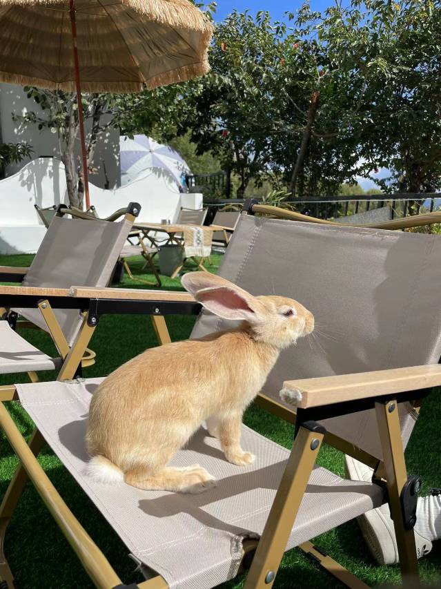 大理MKS摩可沙·七又海景美宿(洱海生态廊道店)图片