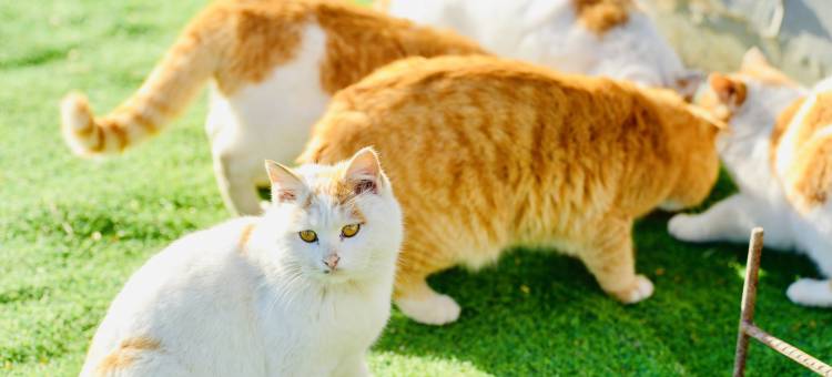 花筑·老木匠villa民宿图片