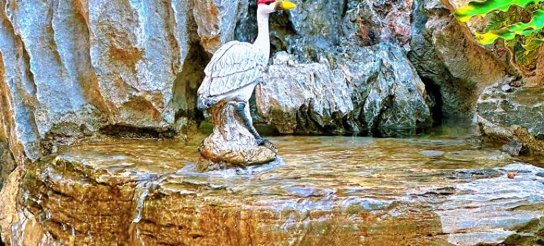 厦门彤昕情怀民宿图片