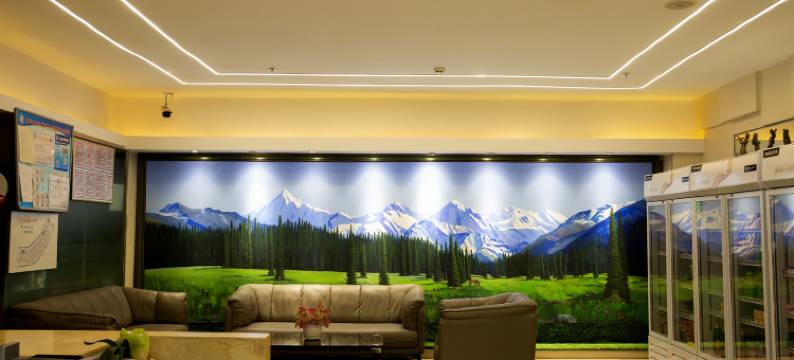 伊宁君临酒店图片