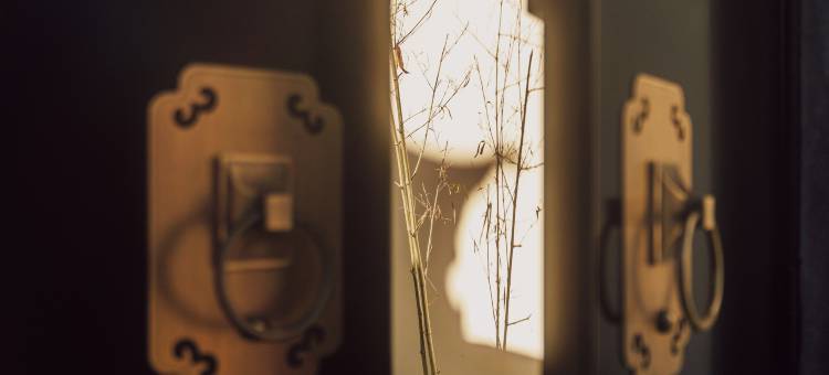 蓝城桃花源温泉合院图片