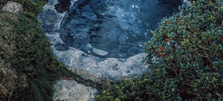 蓝城桃花源温泉合院图片