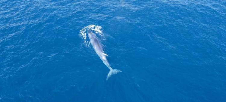 丽呈别院·涠爱图片