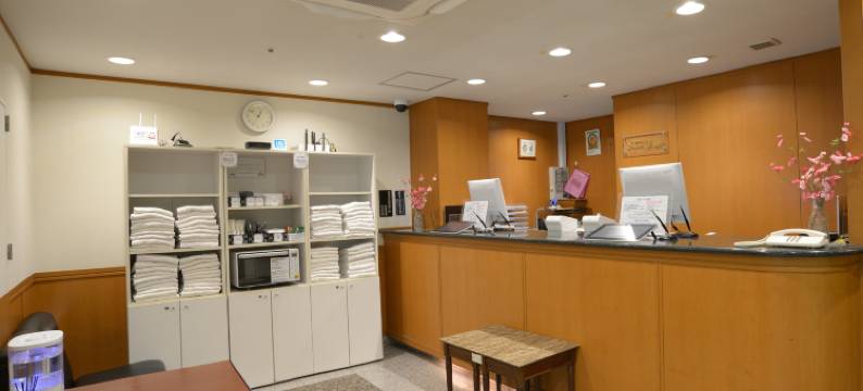 名古屋荣格林酒店(Nagoya Sakae Green Hotel)图片