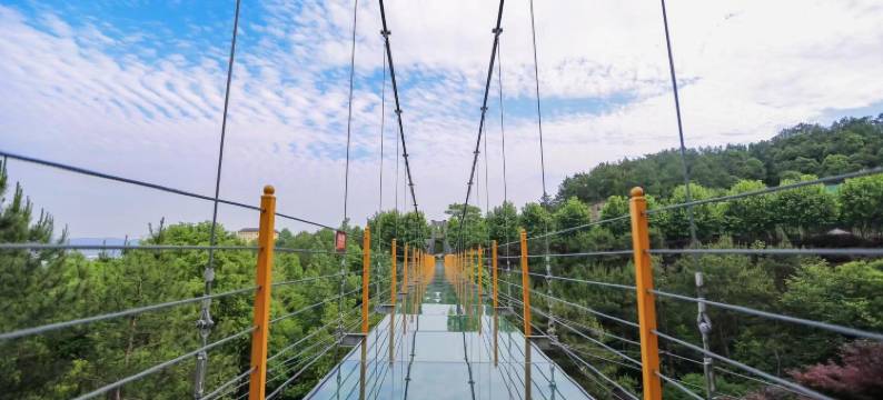 星林晚居·庭院山野星空休闲度假美宿(中南百草原自然博物馆店)图片