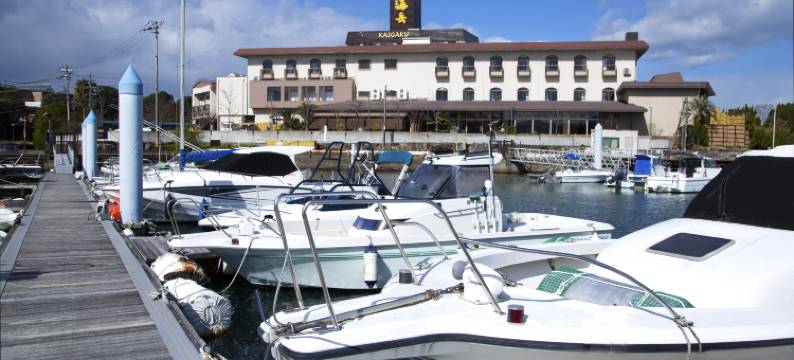 海岳温泉度假酒店(Kaigaku Onsen Resort Shirahama)图片