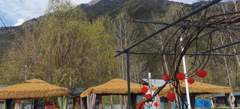 波密咔达桥兄弟农庄(波密桃花沟店)图片