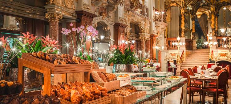 布达佩斯纽约宫殿安纳塔拉酒店 - 立鼎世酒店集团(Anantara New York Palace Budapest - A Leading Hotel of The World)图片