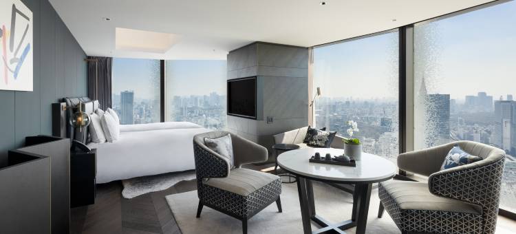 东京泛太平洋骊星酒店(Bellustar Tokyo, A Pan Pacific Hotel)图片
