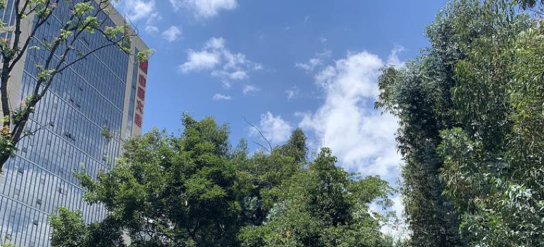 与白观影民宿(南悦城店)图片