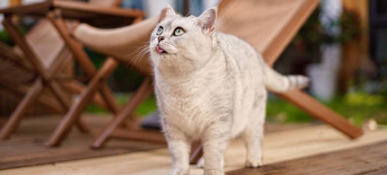 丽江古城楠辰·客栈(大水车四方街店)图片