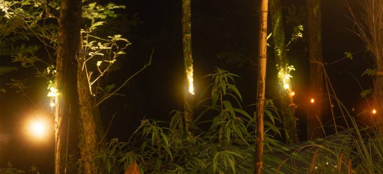 春邮阿岚朵微度假营地图片
