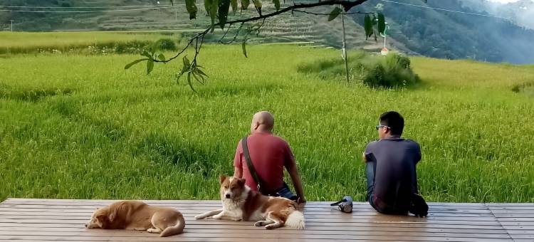 元阳梯田上精品民宿(多依树店)图片