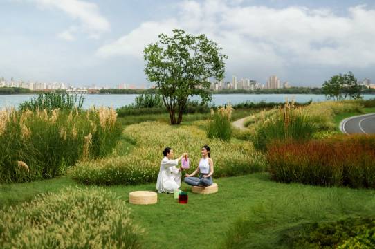 苏州四季酒店图片