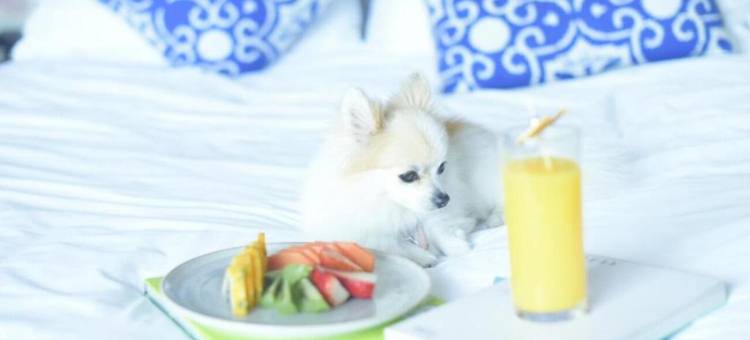 傲途格精选匠人D.C.酒店(The Artisan D.C. Hotel, Autograph Collection)图片