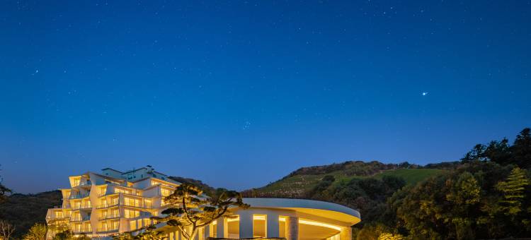 安吉涵田度假村·望山雲居图片