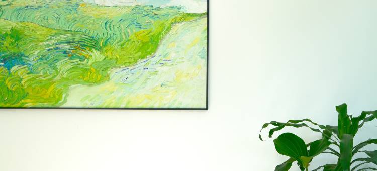 芭东海滩森屿精品民宿(Forest Island Hotel)图片